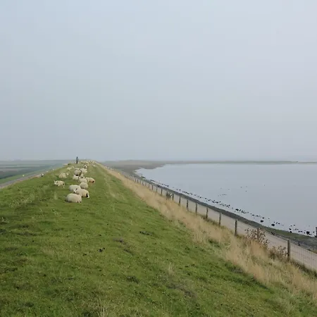 Great Energy Neutral On Texel With Sauna And Sun Shower *