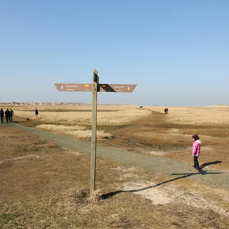 Great Energy Neutral On Texel With Sauna And Sun Shower Feriehus *