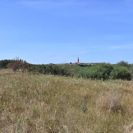 Great Energy Neutral On Texel With Sauna And Sun Shower * Westermient